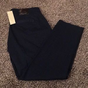 Banana Republic Navy Blue Ankle Length Pants